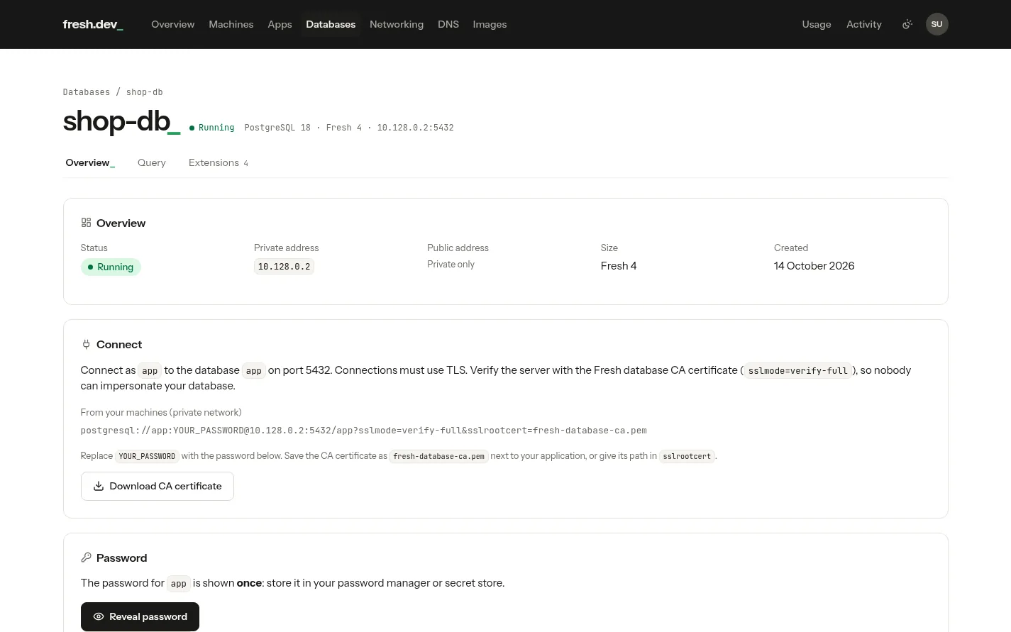 A running database: its private address, the connection string, the CA certificate download and the reveal-once password
