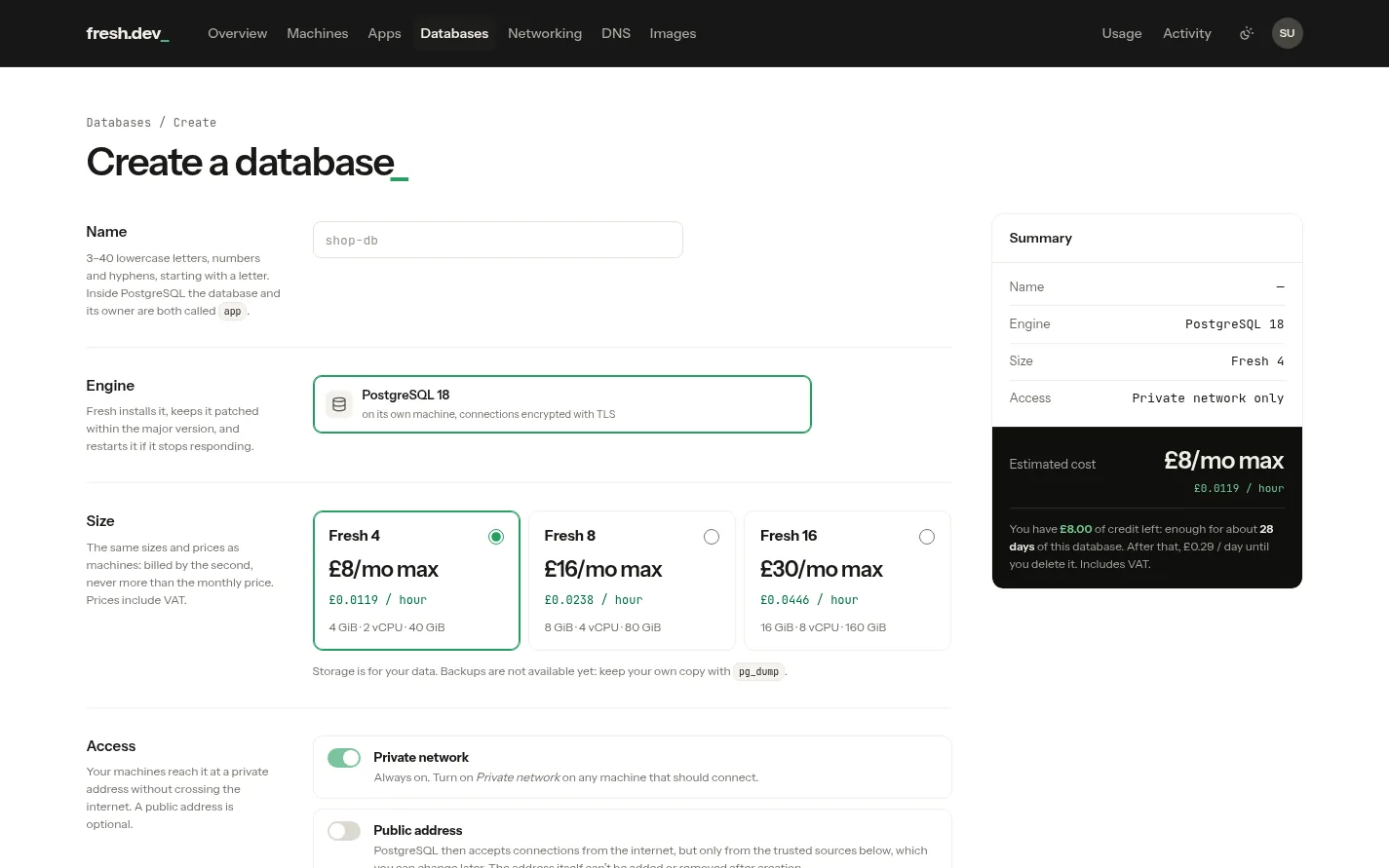 The Create a database form: name, engine, size cards and access switches, with the summary showing the price and how long your credit lasts