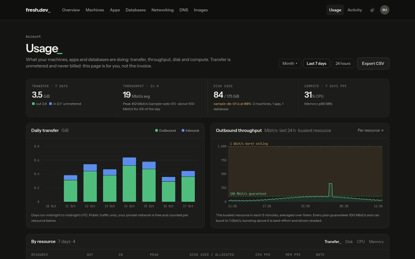 The Usage page: transfer, throughput, disk and CPU per resource, dark theme